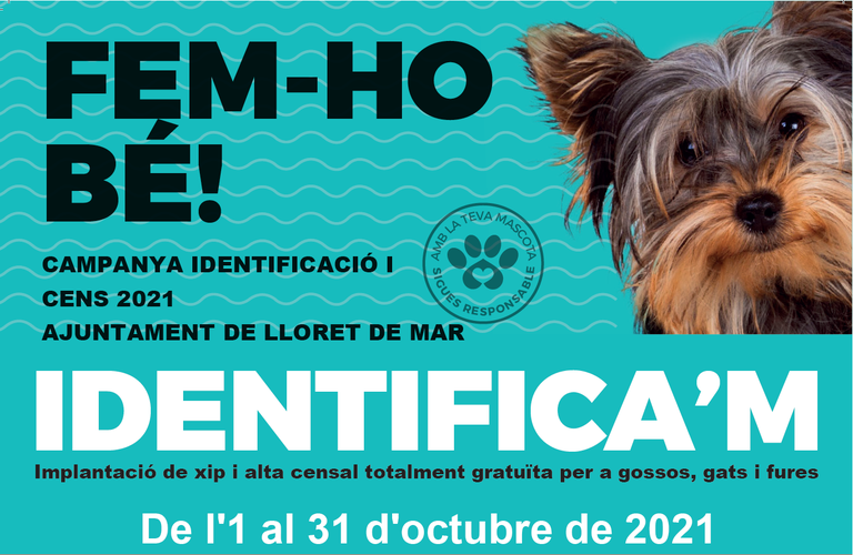  L’Ajuntament de Lloret engega una nova campanya per posar el xip i censar els animals de companyia