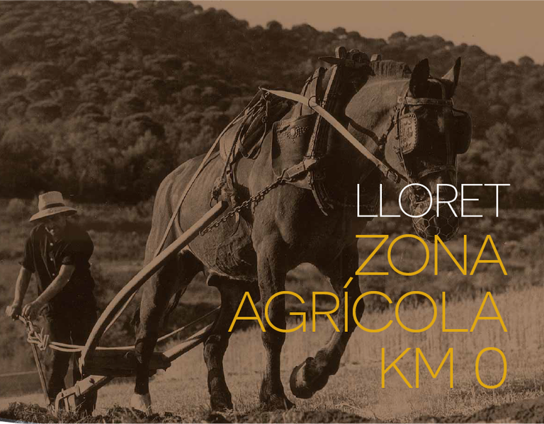 Lloret, zona agrícola Km 0, una exposició per posar en valor el passat agrícola de Lloret