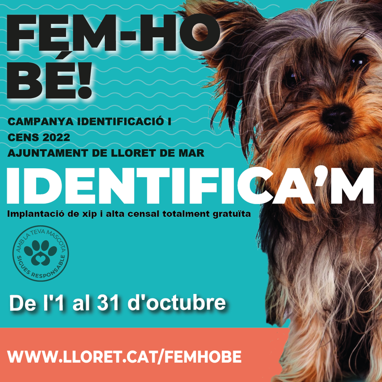 S’engega una nova campanya gratuïta per posar el xip i censar els animals de companyia a Lloret