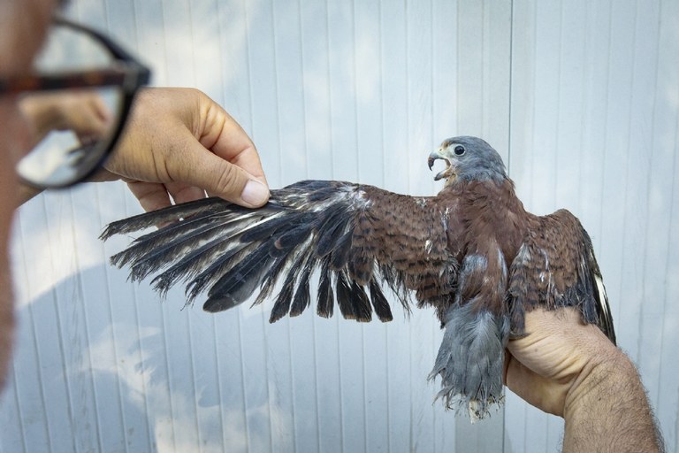 Lloret de Mar acull MontPhoto FEST 2025 amb la participació de 12.000 fotografies de fotògrafs de 60 països