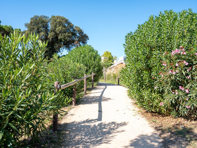 Lloret de Mar consolida el seu projecte de jardineria i serà present a la Gala Flors d’Honor 2025 a Sant Fruitós de Bages