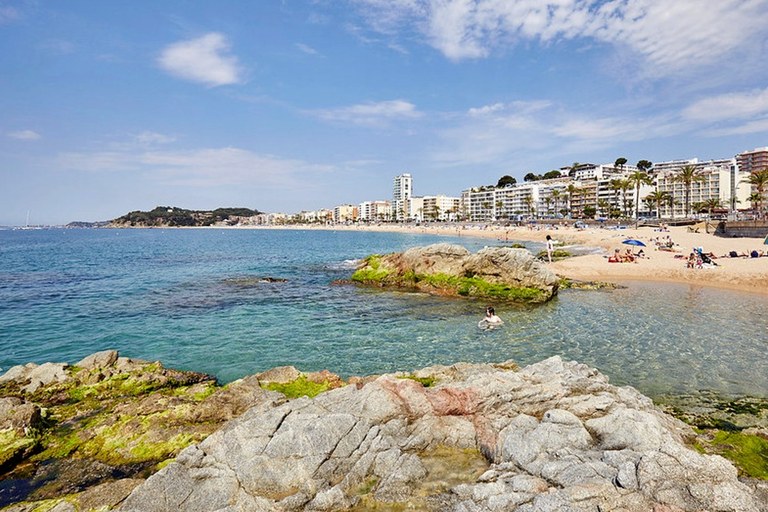 Lloret Turisme ofereix un pla de formació en noves tendències pel teixit productiu amb una ponència inaugural sobre Intel