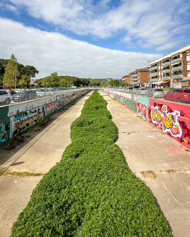 Renaturalització de la riera de Lloret