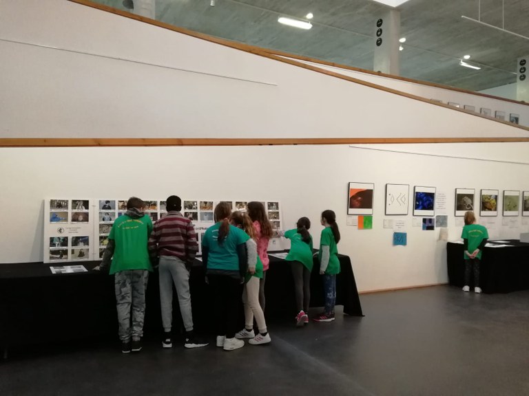 S'inaugura l'exposició amb les obres "Imatges que inspiren"