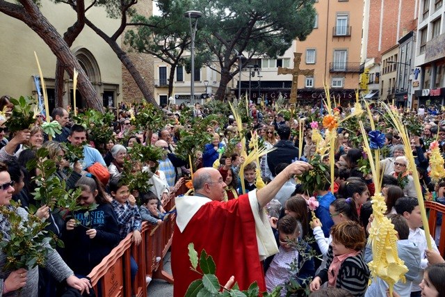 Repartiment de llor. Rams