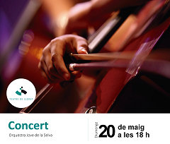 Concert Orquestra Jove de la Selva 