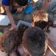 Taller de Biologia Marina (CA I ES I EN)