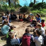 Gimcana familiar: La motxilla del bosc (CA I ES I EN)