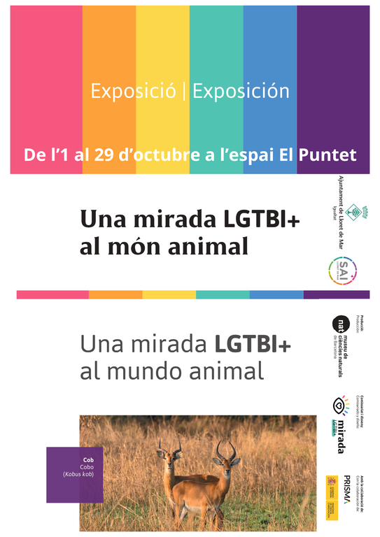 Exposició: Una Mirada LGTBI+ al món animal