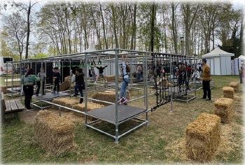 Activitats infantils