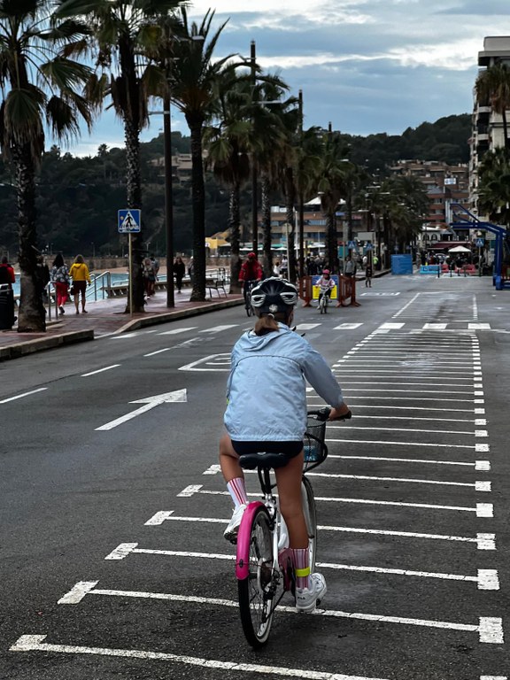 Inspecció tècnica de bicicletes (ITB)