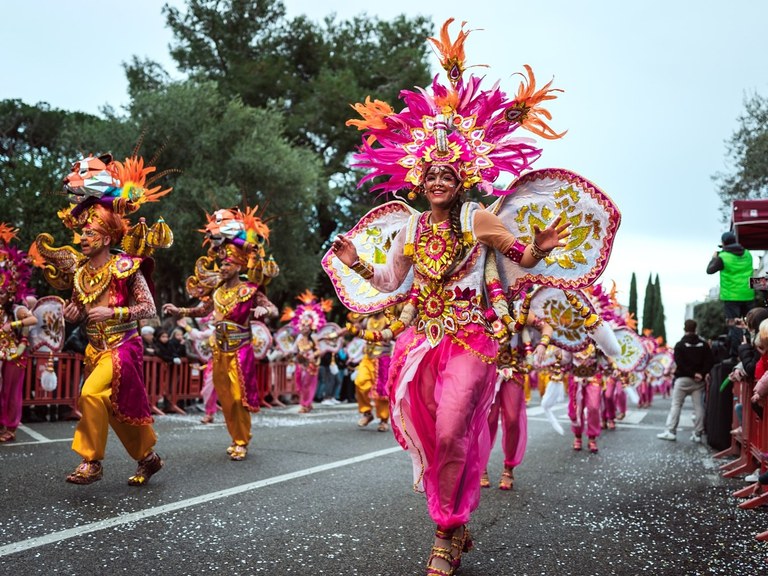 Gran rua el sarau de carnaval