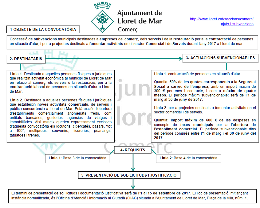Esquema subvencio WEB Comerc