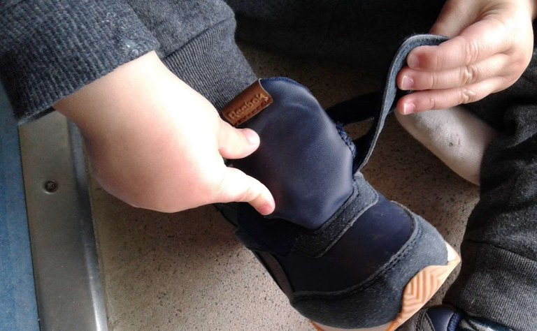 El dia a dia de la llar 