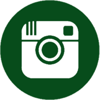 INSTAGRAM BUTTON