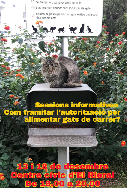Sessions informatives tramitació autorització alimentador gats de carrer