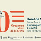 Concert: 20è Aniversari Orquestra Jove de la Selva. (ANUL·LAT)