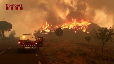 275. Mesures de prevenció d'incendis forestals